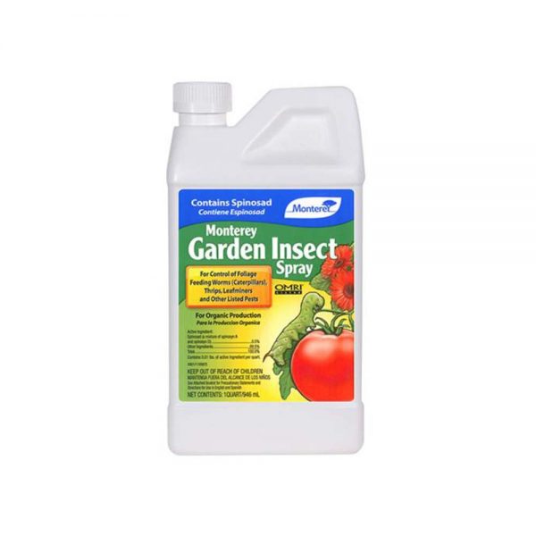 Monterey insect 1quart