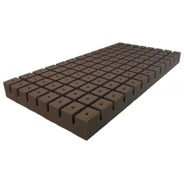 Oasis root cube