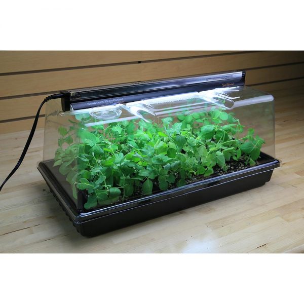 Super sprouter delux kit