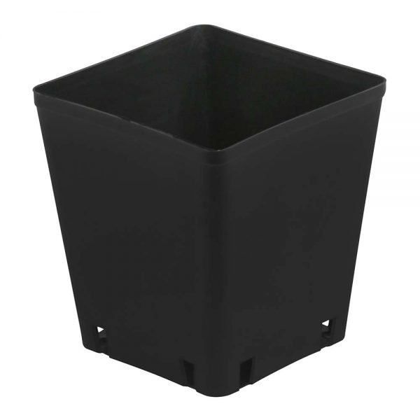 5. 5x5. 5 pot square