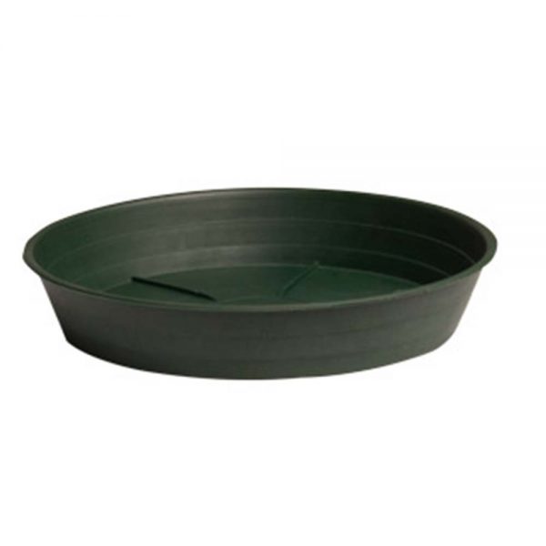 16'' saucer grn