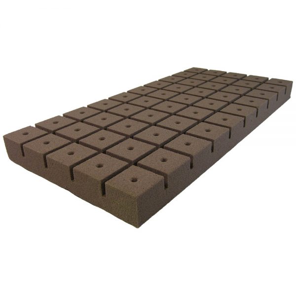 Oasis rootcubes 1. 5