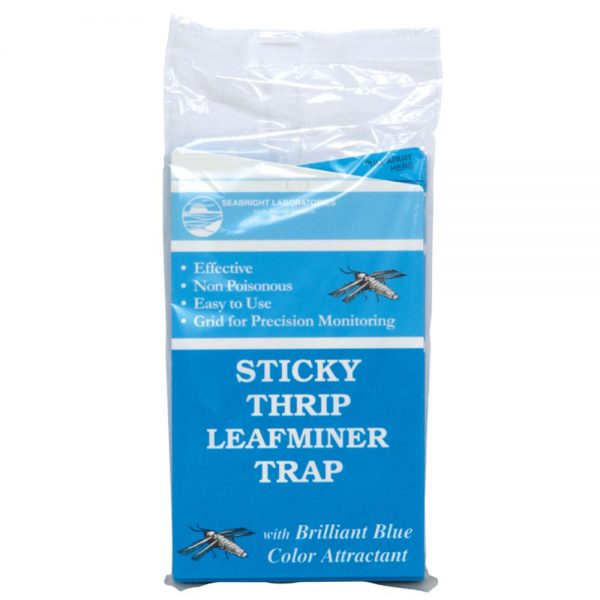 40stickyleafminertrap - sticky leafminer