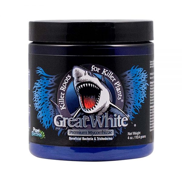 Plant success great white mycor