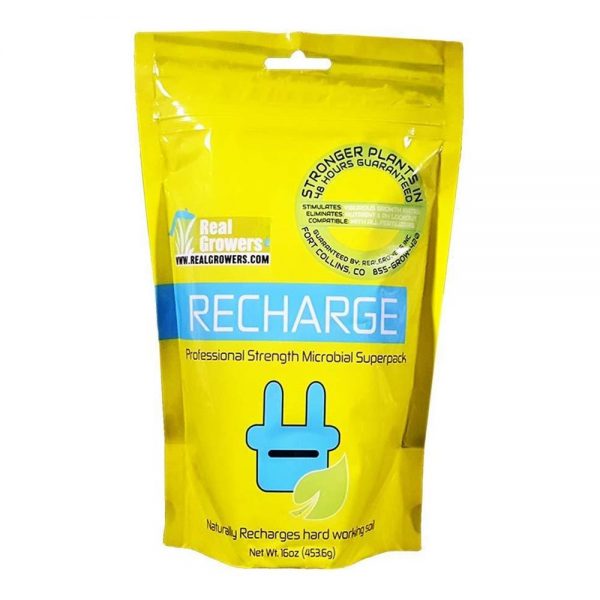 Recharge 16oz