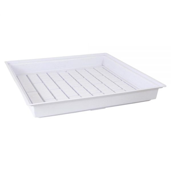 Active aqua 4x4 tray