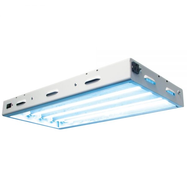 Sun blaze t5 ho 24 - 2 ft 4 lam - image 2