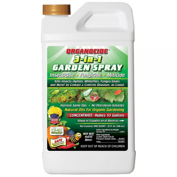 Organocide 3in1 conc quart
