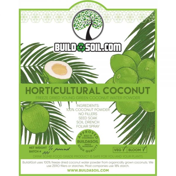 Coconut water powder - raw free - image 2