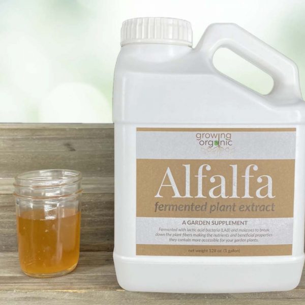 615goalfalfafpe - growing organic alfalfa fpe