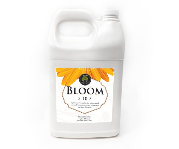 Ao20100 1 - age old bloom, 1 gal