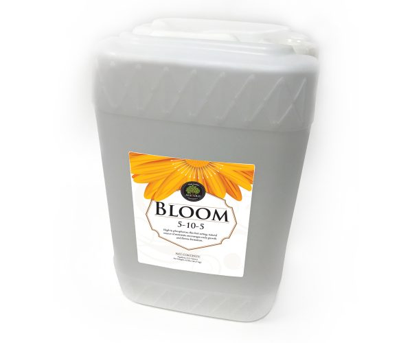 Ao20600 1 - age old bloom, 6 gal