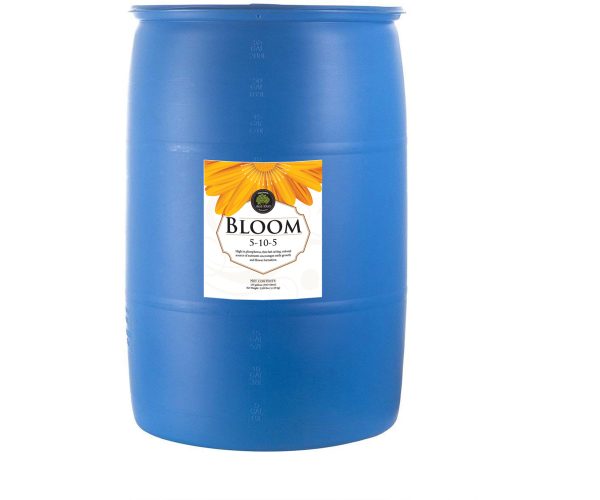 Age old bloom, 55 gal drum