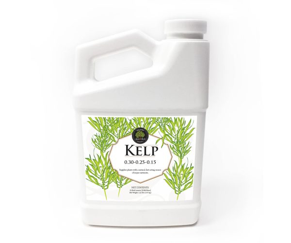 Age old kelp, 32 oz