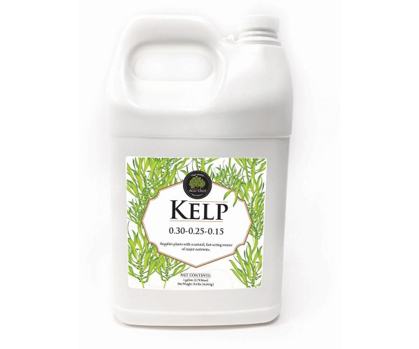 Age old kelp, 1 gal