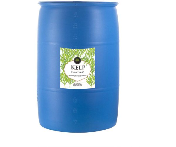 Age old kelp, 55 gal drum