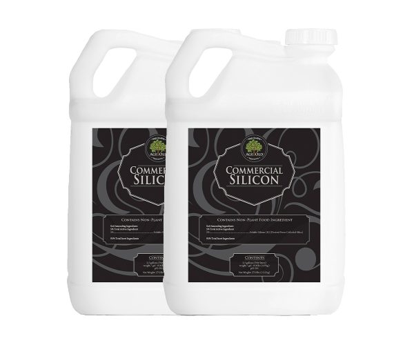 Age oid commercial silicon, 5 gal