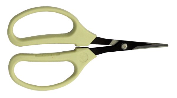 Ars cultivation scissors, angled carbon steel blade