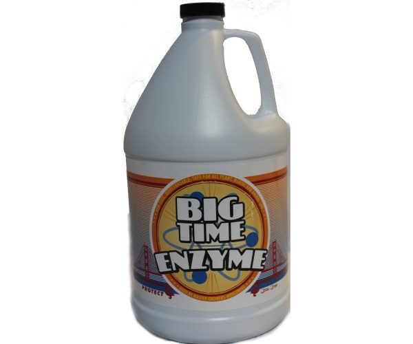 Big time enzyme, 1 gal