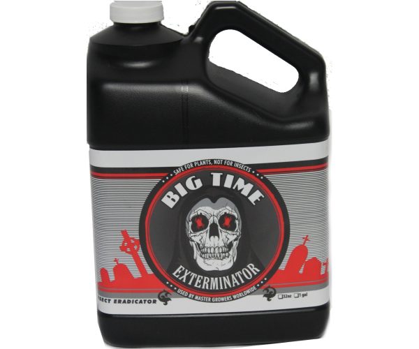 Big time exterminator, 1 gal
