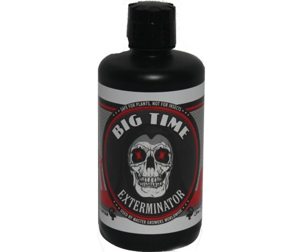 Big time exterminator, 1 qt