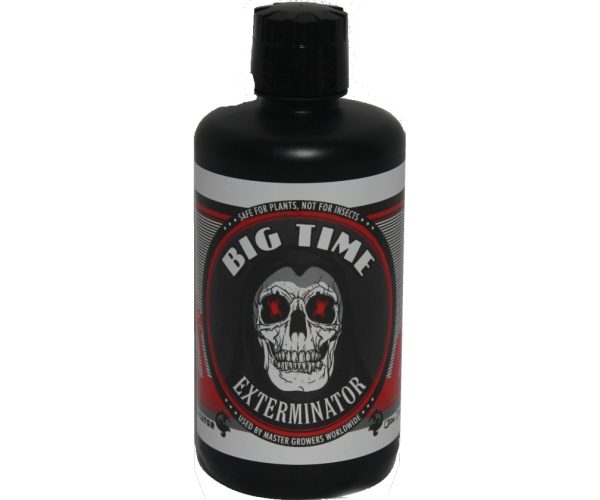 Btxqp 1 - big time exterminator, 1 qt