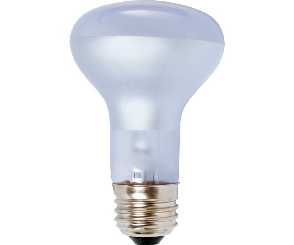 Burp413 1 - agrosun dayspot incandescent bulb, 60w