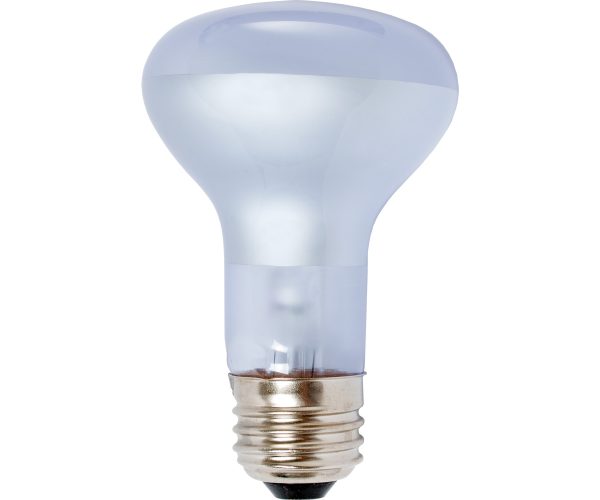 Agrosun dayspot incandescent bulb, 60w