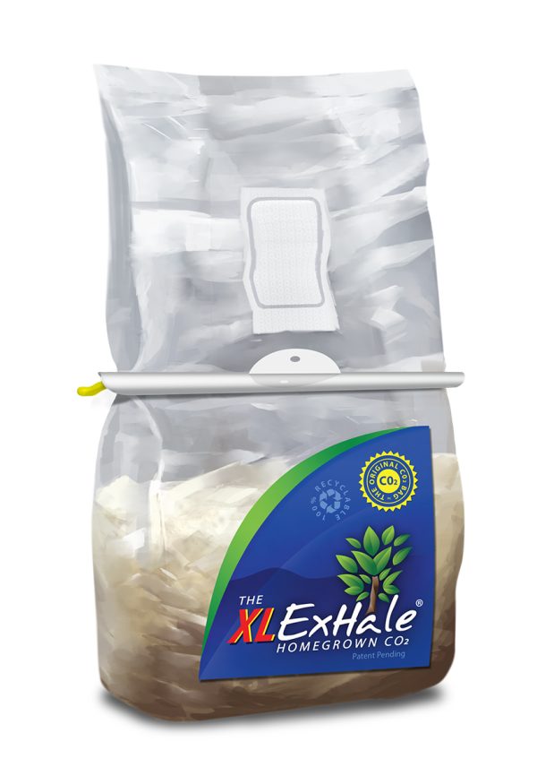 Exhale xl co2 bag