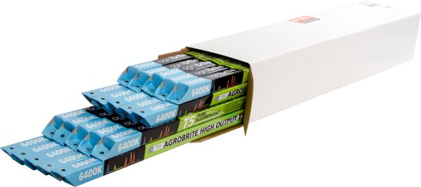 Agrobrite t5 2' replacement lamps, 6400k, 24w, case of 20