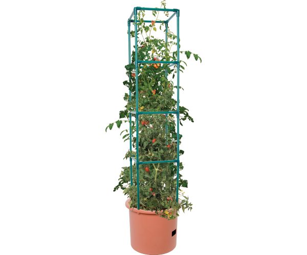 Heavy duty tomato barrel w/tower