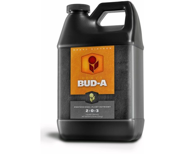 Heavy 16 bud a, 32 oz