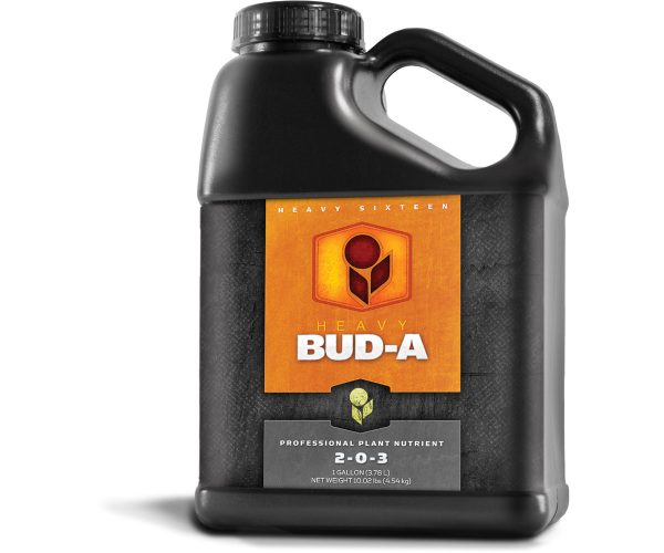 Heavy 16 bud a, 1 gal