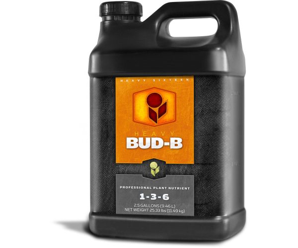 Heavy 16 bud b, 2. 5 gal