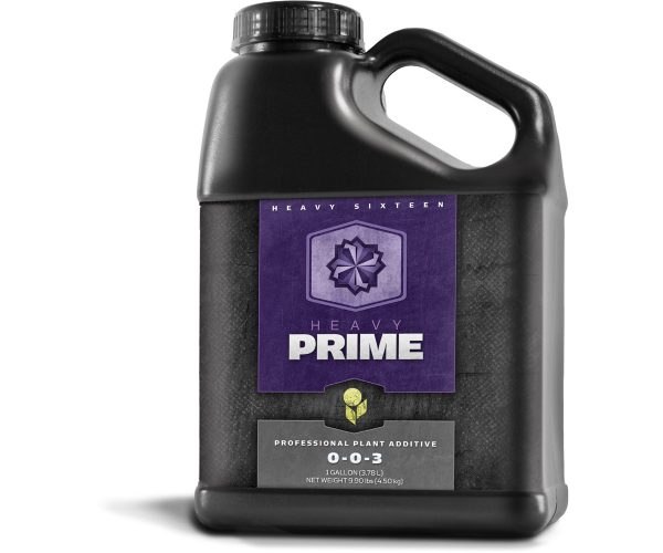 Heavy 16 prime, 1 gal