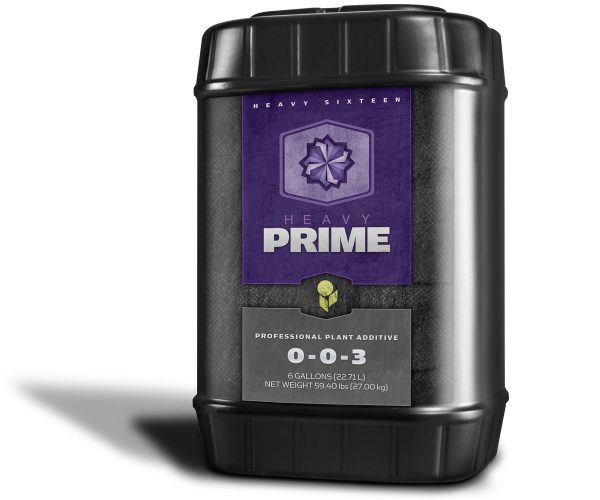 Heavy 16 prime, 6 gal