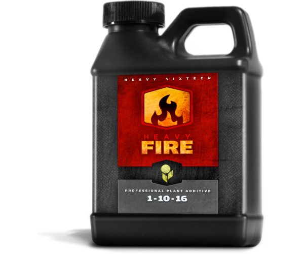 Heavy 16 fire, 16 oz
