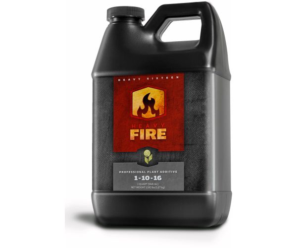 Heavy 16 fire, 32 oz