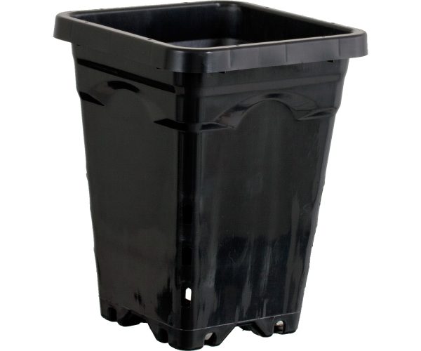 Active aqua 5" x 5" square black pot, 7" tall, case of 100