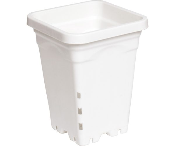 Active aqua 5" x 5" square white pot, 7" tall, case of 100