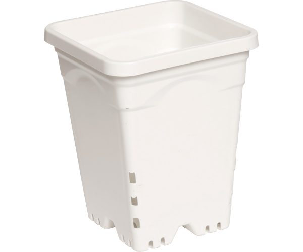 Active aqua 6" x 6" square white pot, 8" tall, case of 50