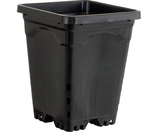 Active aqua 7" x 7" square black pot, 9" tall, case of 50