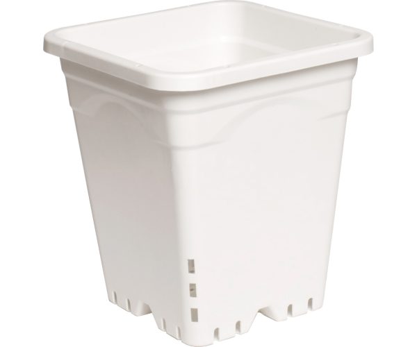 Active aqua 9" x 9" square white pot, 10" tall, case of 24