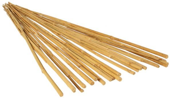 Hgbb2 1 - grow! T 2' bamboo stakes, natural, pack of 25