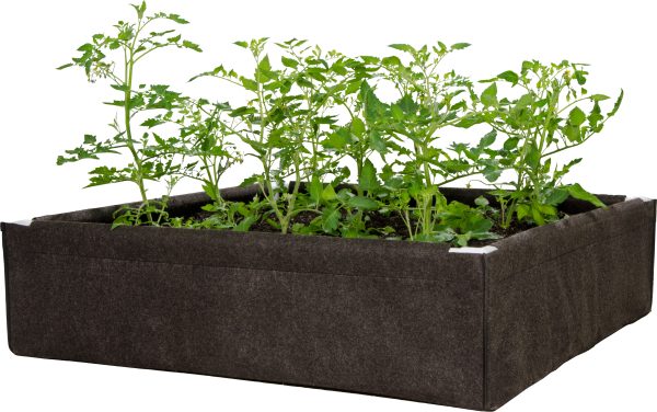 Dirt pot box, 2' x 4' raised bed