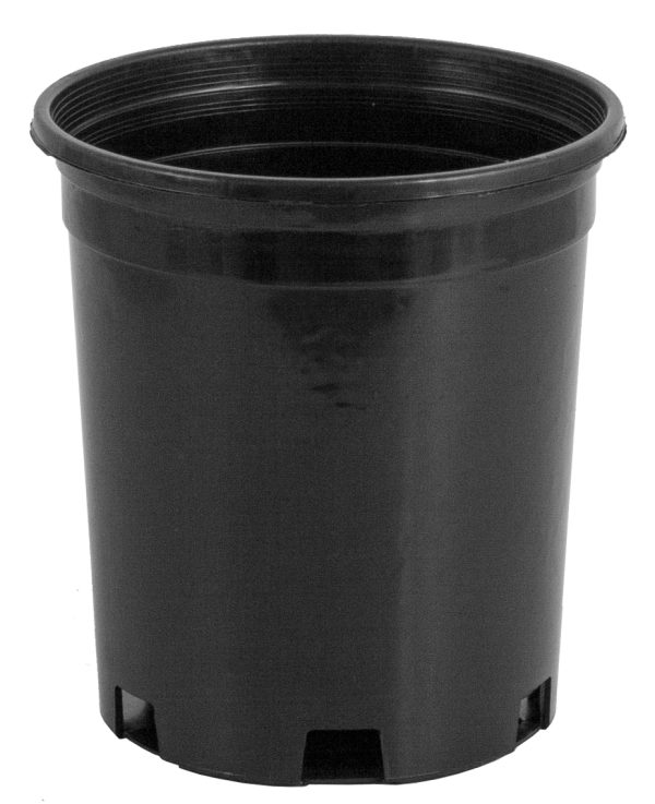Pro cal premium nursery pot, 1 gal, pack of 20
