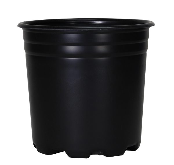 Pro cal thermo pot, 2 gal