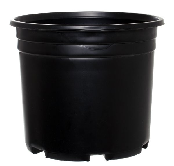Pro cal thermo pot, squat, 5 gal