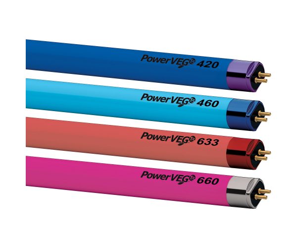 Powerveg t5 4' multi-color pack (pack of 24, assorted)