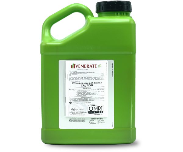 Marrone bio venerate cg® bioinsecticide, 1 gal